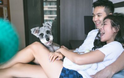 8 Etapas de una relación de pareja